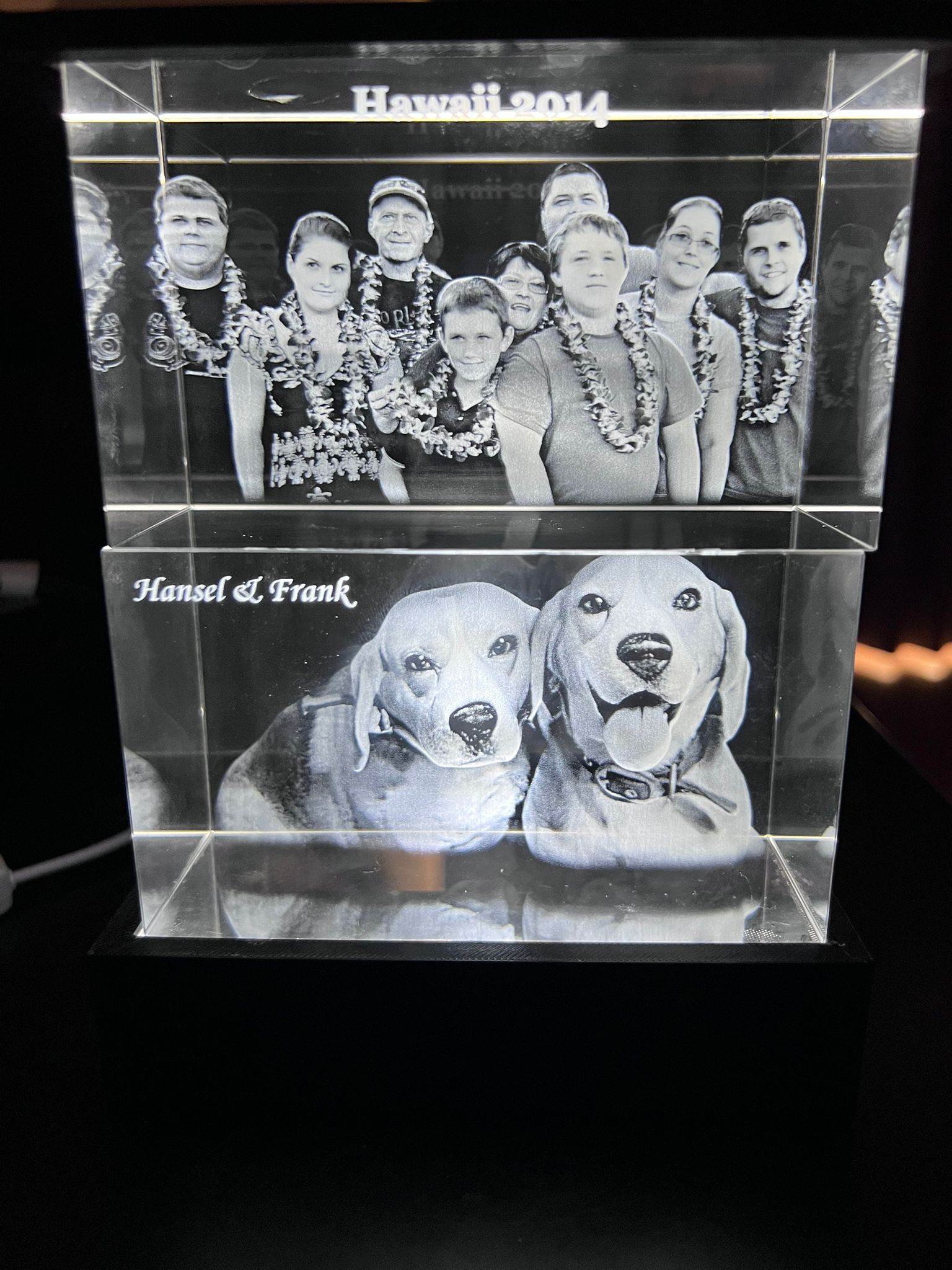 Two stacked landscape crystals on black LED base — Hawaii 2014 family group photo and Hansel & Frank beagle pet portrait
